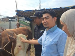 Alasan Ustaz Solmed Belum Pernah Sembelih Hewan Kurban