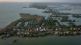 Foto udara vegetasi pohon mangrove sebagai tameng terakhir pelindung permukiman warga dari hantaman abrasi air laut di Dukuh Bedono, Desa Bedono.