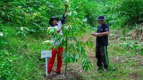 BRI Menanam Grow & Green, Wujud Komitmen Jaga Ekosistem Lingkungan