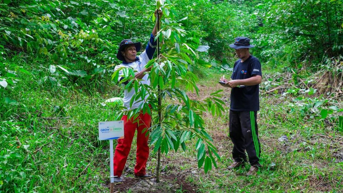 BRI Menanam Grow dan Green, Wujud Komitmen Jaga Ekosistem Lingkungan