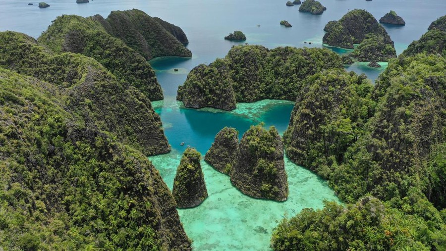 Tambang di Raja Ampat Dapat Izin Beroperasi Lagi