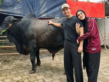 img-title Kaki Fairuz A Rafiq Memar Usai Terinjak Sapi Kurban 1 Ton Pemberian Raffi Ahmad