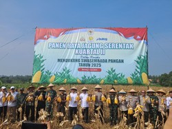 Kapolda-Gubernur Banten Panen Raya Jagung, Harap Tingkatkan Ketahanan Pangan