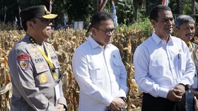 Mentan Amran Jamin Harga Beras Akan Turun dalam 2 Minggu