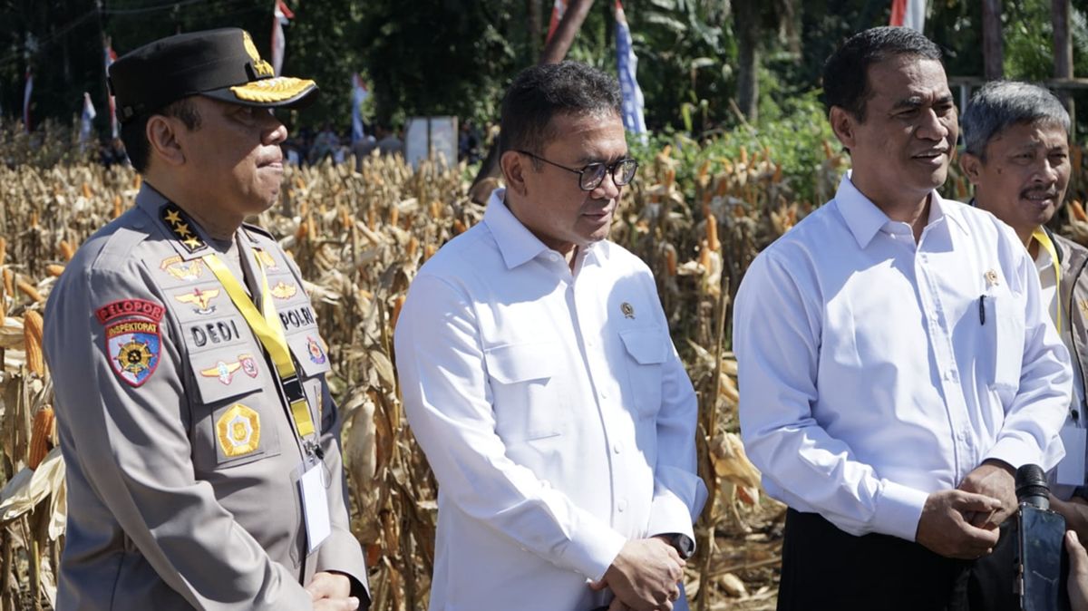 Mentan Amran Jamin Harga Beras Akan Turun dalam 2 Minggu