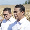 RI Akan Impor Gandum Cs Rp73,32 T dari AS Usai Deal Tarif 19 Persen