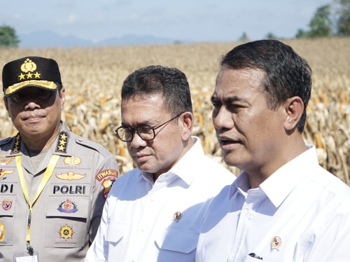 RI Akan Impor Gandum Cs Rp73,32 T dari AS Usai Deal Tarif 19 Persen