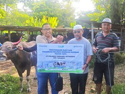 Pelindo Petikemas Siapkan 30 Juru Sembelih Halal Jelang Idul Adha 2025
