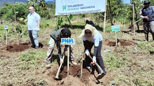 PNM berkomitmen pada lingkungan dengan program PNM Hijaukan Indonesia dan PNM Peduli Terumbu Karang, tanam 287.761 pohon dan rehabilitasi terumbu karang.