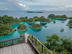 Perpres Jokowi Bilang Raja Ampat KSN Konservasi, Kenapa Tambang Tak Cepat Ditutup?