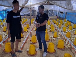 BRI Ponorogo Salurkan Rp 489 Miliar KUR hingga April 2025
