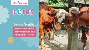 Sesuai Syariat, Begini Batas Waktu Penyembelihan dan Pembagian Hewan Kurban
