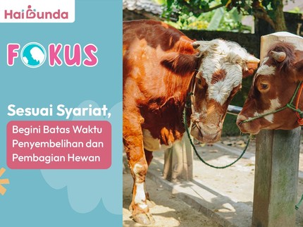 Sesuai Syariat, Begini Batas Waktu Penyembelihan dan Pembagian Hewan Kurban