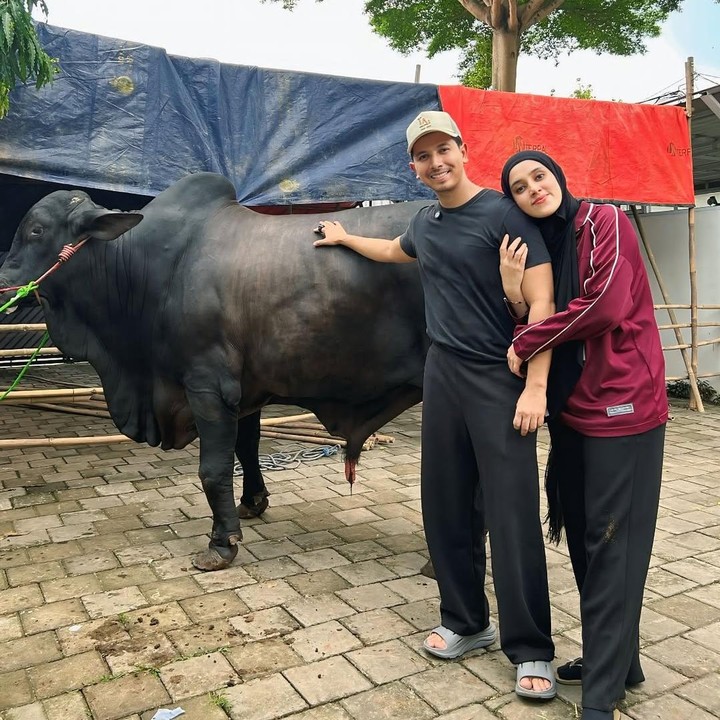 <p>Hal itu terjadi ketika Fairuz mengelus-elus sapi. “Mommy keasikan ngelus2 kahfi, si kahfi kesenengan di manja keasikan ngusel ngusel sampe ga sadar kaki nya mendarat di kaki mommy,” tuturnya. (Foto: Instagram@sonnyseptian)</p>