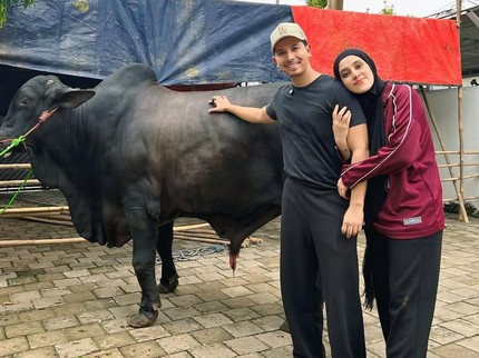 Fairuz A Rafiq Terinjak Sapi Kurban 1,2 Ton, Kaki Bengkak dan Memar