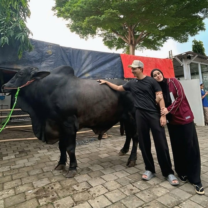<p>Sebelumnya diketahui, sapi kurban itu adalah pemberian dari Raffi Ahmad sebagai hadiah untuk keluarga Sonny dan Fairuz. Momen itu juga diabadikan oleh Sonny di akun Instagram pribadinya. (Foto: Instagram@sonnyseptian)</p>