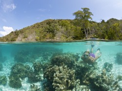 Pesona Keanekaragaman Hayati Indonesia Timur, Cocok untuk Traveler dan Patut Dijaga