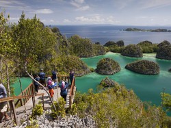 5 Perusahaan Tambang di Pulau-Pulau Kecil di Raja Ampat