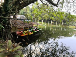 Rp 100 Ribu Dapat Apa di Taman Wisata Alam Linggarjati Kuningan?