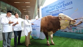 TelkomGroup Salurkan 946 Hewan Kurban untuk Masyarakat Indonesia