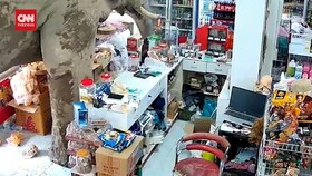VIDEO: Fenomena Unik Gajah di Thailand 'Jajan' di Swalayan