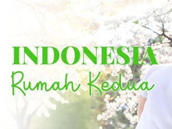 Wawancara Eksklusif Ju Yeon Woo, Bisa Bahasa Indonesia Sekolah di Jakarta