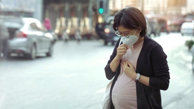 Cara Menghindari Polusi Udara selama Hamil agar Perkembangan Janin Tak Terganggu Berikut cara menghindari polusi udara selama hamil agar perkembangan janin tak terganggu. Penasaran apa saja caranya? Simak yuk Bunda penjelasan berikut.