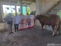 Gerindra Jatim Bagikan Ratusan Hewan Kurban di Momen Idul Adha 2025