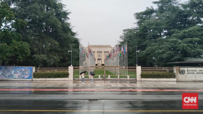 Sejumlah staf perempuan Perserikatan Bangsa-Bangsa di Kabul, Afghanistan, terpaksa berhenti bekerja setelah dikuntit dan dilecehkan oleh orang tak dikenal.