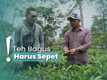 img-title Mengunjungi Teh Tambi di Wonosobo, Bisa Belajar Buat Minumannya