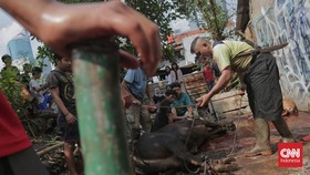 FOTO: Pemotongan Hewan Kurban di Jakarta