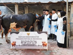 Bupati Lamongan Serahkan Sapi Presiden ke Masjid Al Muttaqin