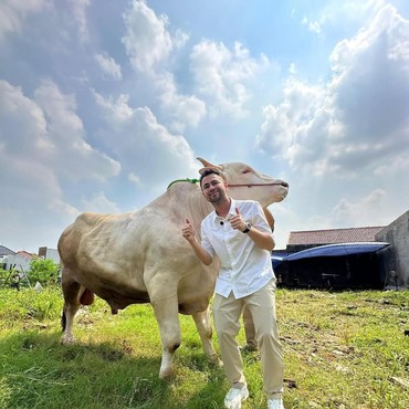 Tak Hanya 5, Raffi Ahmad Ternyata Beli 22 Sapi & 90 Domba untuk Kurban