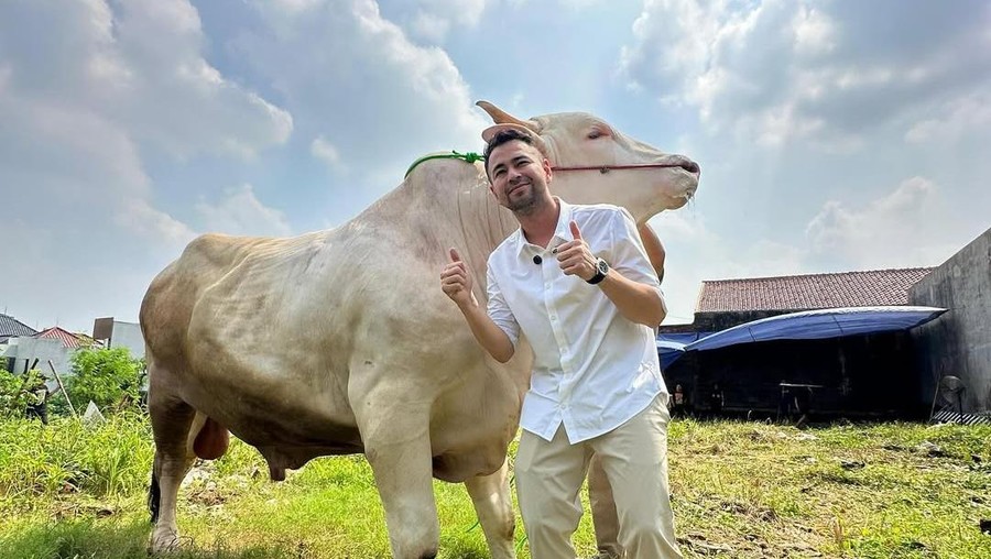 Raffi Ahmad kurban
