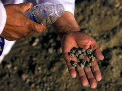 Umat Muslim Bersiap Lempar Jumrah di Puncak Haji