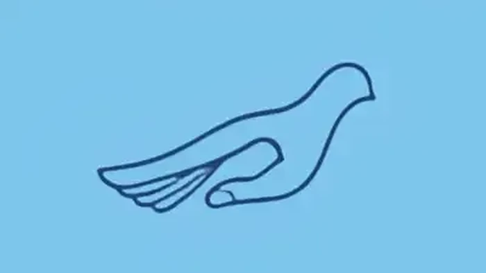 Tes Kepribadian: Gambar Burung atau Tangan yang Pertama Kamu Lihat? Ini Artinya...