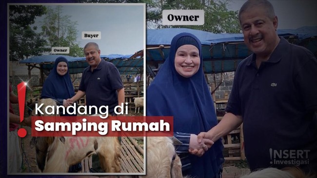 Ibu Jual Hewan Kurban, Fadil Jaidi Girang Raffi Ahmad Borong 50 Kambing
