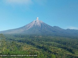 Gunung Semeru 5 Kali Erupsi Sabtu Pagi, Tinggi Letusan hingga 900 M
