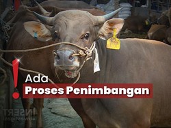Euforia Penjual Kulit Hewan Kurban Berlimpah Untung di Momen Idul Adha