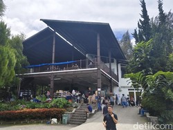 Menikmati Susu Sapi Segar di Karo, Ada Es Krim Juga
