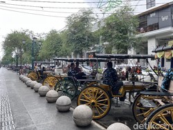 Viral Andong Jalan Lawan Arah di Ring Road Barat, Kusir Ternyata Ketiduran
