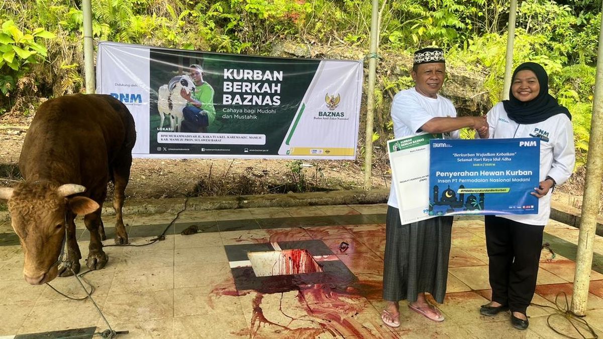 PNM Gandeng Baznas Salurkan Hewan Kurban untuk Masyarakat 3T