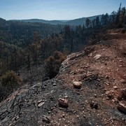 5 Kerusakan Alam dan Bencana Terbesar di Dunia Akibat Ulah Manusia, Salah Satunya di Indonesia!