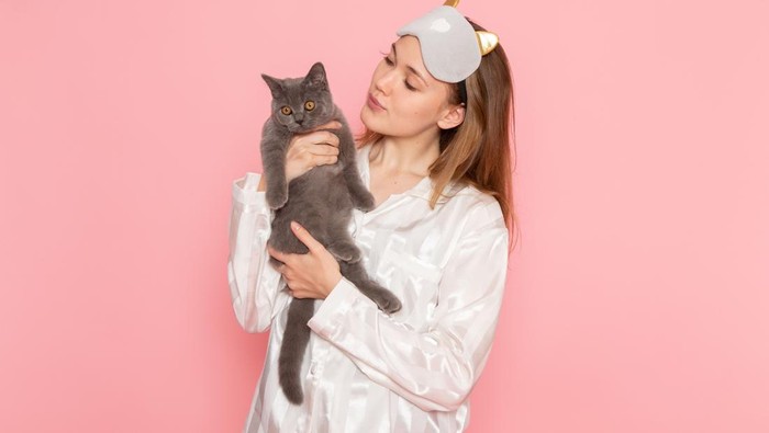 Punya Kucing di Rumah? Ini Tips Efektif Hilangkan Bau Kencingnya!