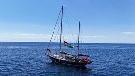 Siapa 11 Penumpang Madleen Selain Greta Thunberg yang Diculik Israel?
