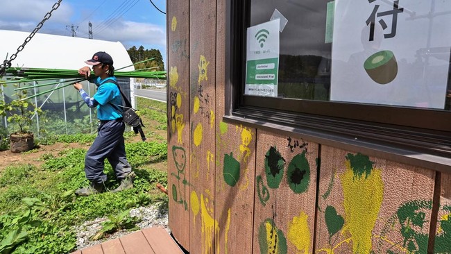 FOTO: Petani Gen-Z Bangun Kebun Kiwi di Fukushima