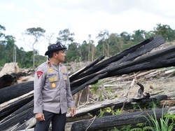 Kapolda Riau Soal Perambahan Hutan Lindung Siabu: Ini Adalah Ekosida