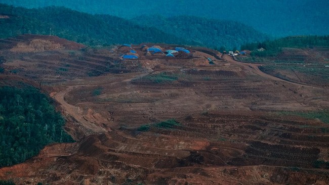 DPR Desak 4 Perusahaan Penambang Nikel Hijaukan Kembali Raja Ampat Wakill Ketua Komisi VII DPR mendesak perusahaan penambang nikel di Raja Ampat untuk melakukan penghijauan dan pemulihan lingkungan.