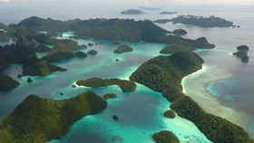 VIDEO: Kerusakan Lingkungan Ditemukan di Pulau Manuran Raja Ampat