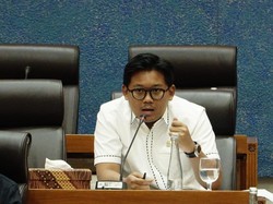 Buntut Raja Ampat, Anggota DPR Dorong Evaluasi Pertambangan di Area Konservasi